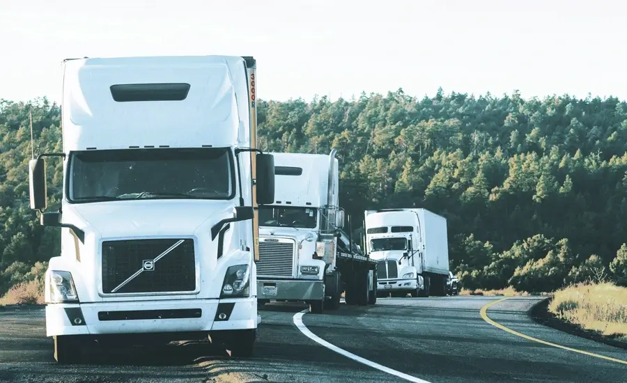 Cargo Customs Declaration and Delivery Service  